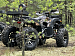 PROMAX 320 DOMINATOR PRO (2025)